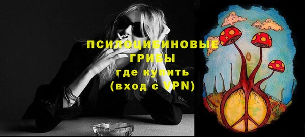 винт Инта