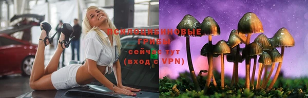 мяу мяу мука Инсар