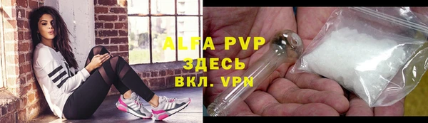 винт Инта