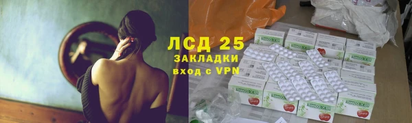 прущие грибы Зеленодольск