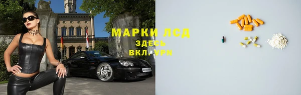 мяу мяу мука Инсар