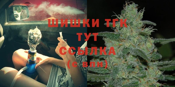 винт Инта