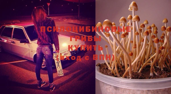 винт Инта
