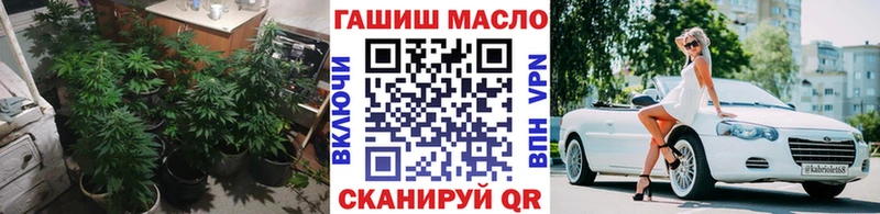 Купить закладки  Закаменск  Дистиллят ТГК Wax 